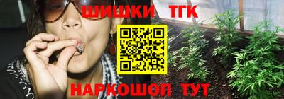 индика Новозыбков